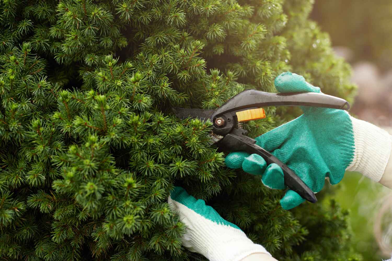 Best Tree Pruning Services  in Metlatla, AK